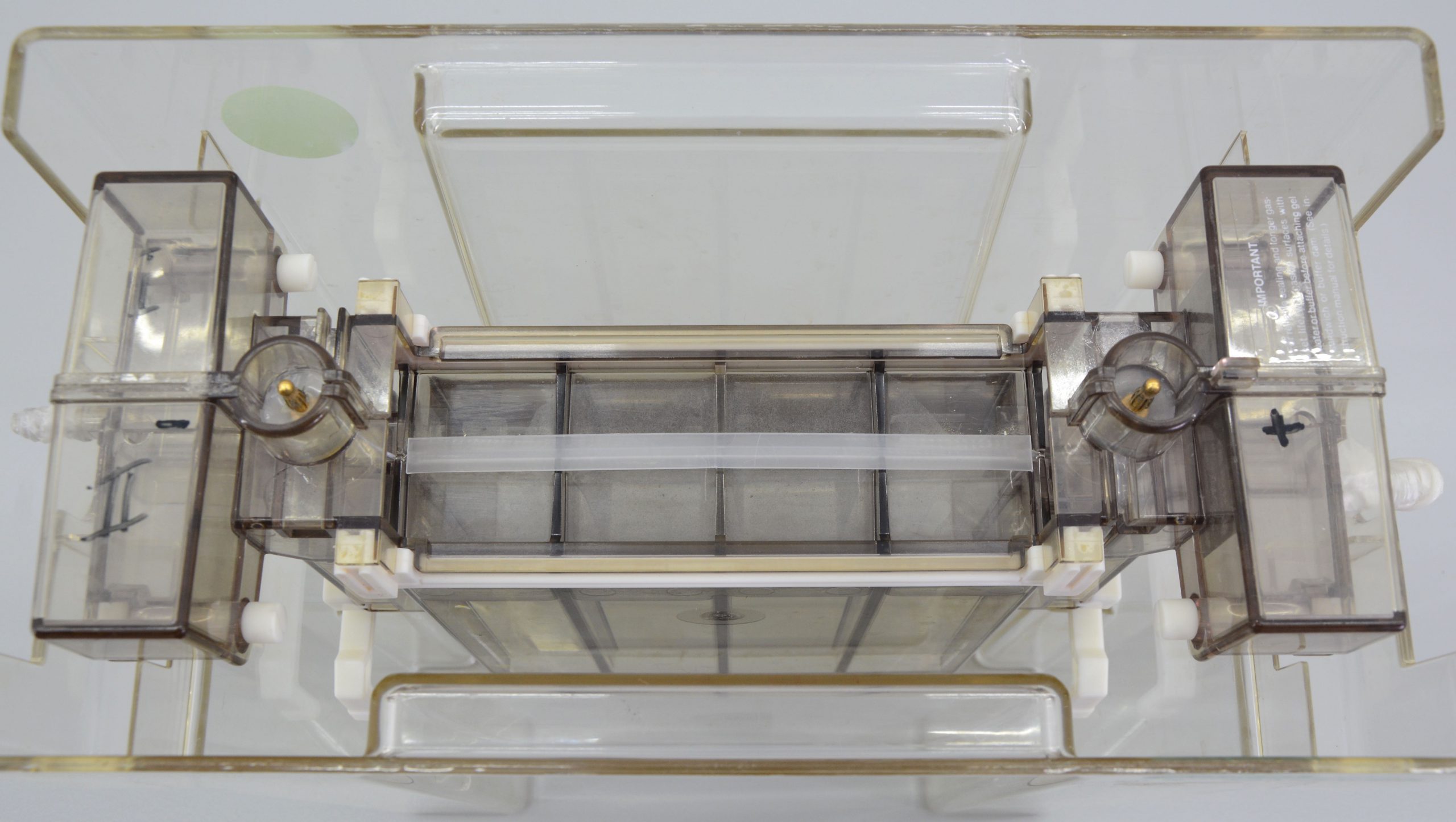 Bio-Rad Protean II xi Cell & Protean II Cell Electrophorese cell